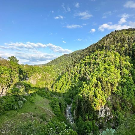 Green Mountain Borjomi Ngoại thất bức ảnh