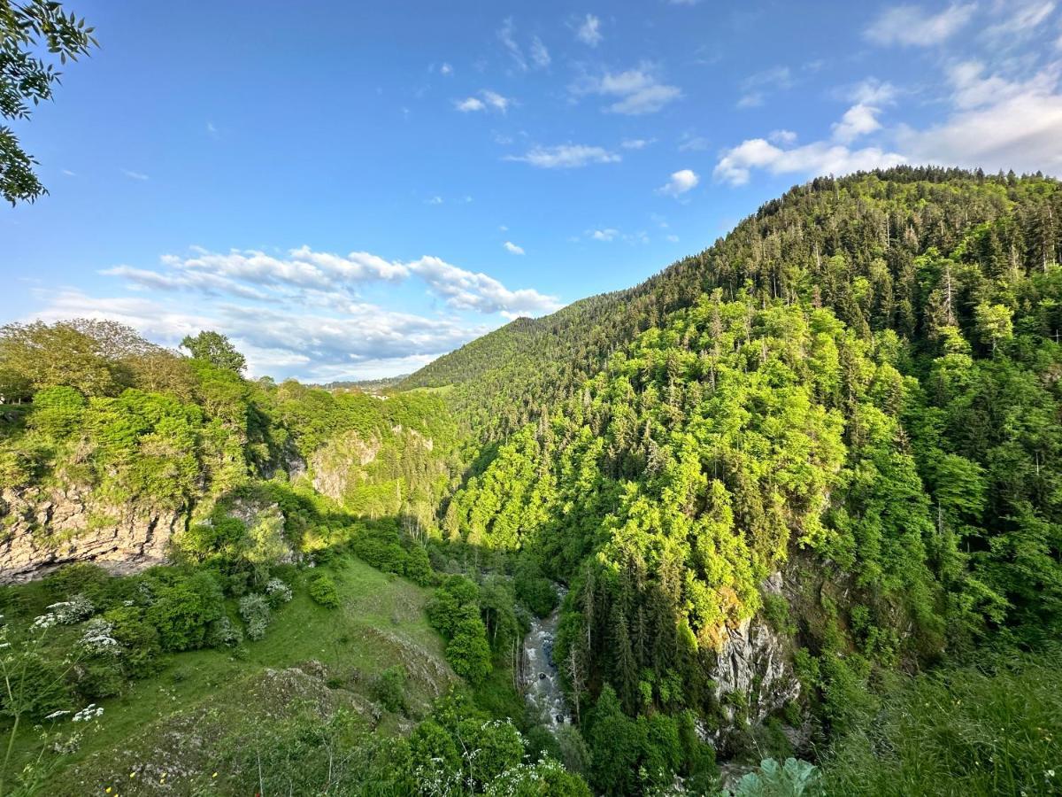 Green Mountain Borjomi Ngoại thất bức ảnh