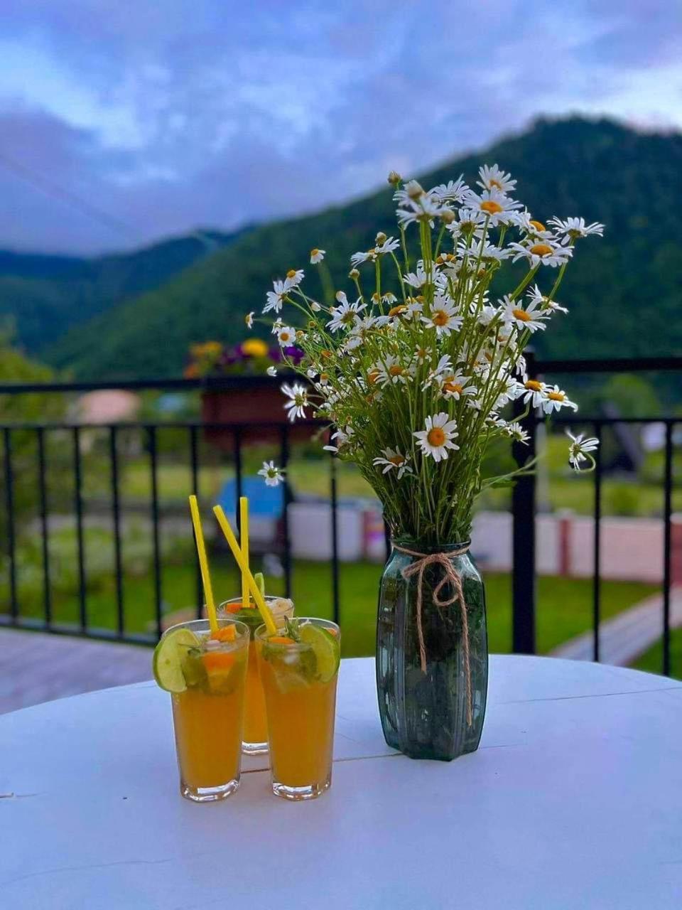 Green Mountain Borjomi Ngoại thất bức ảnh