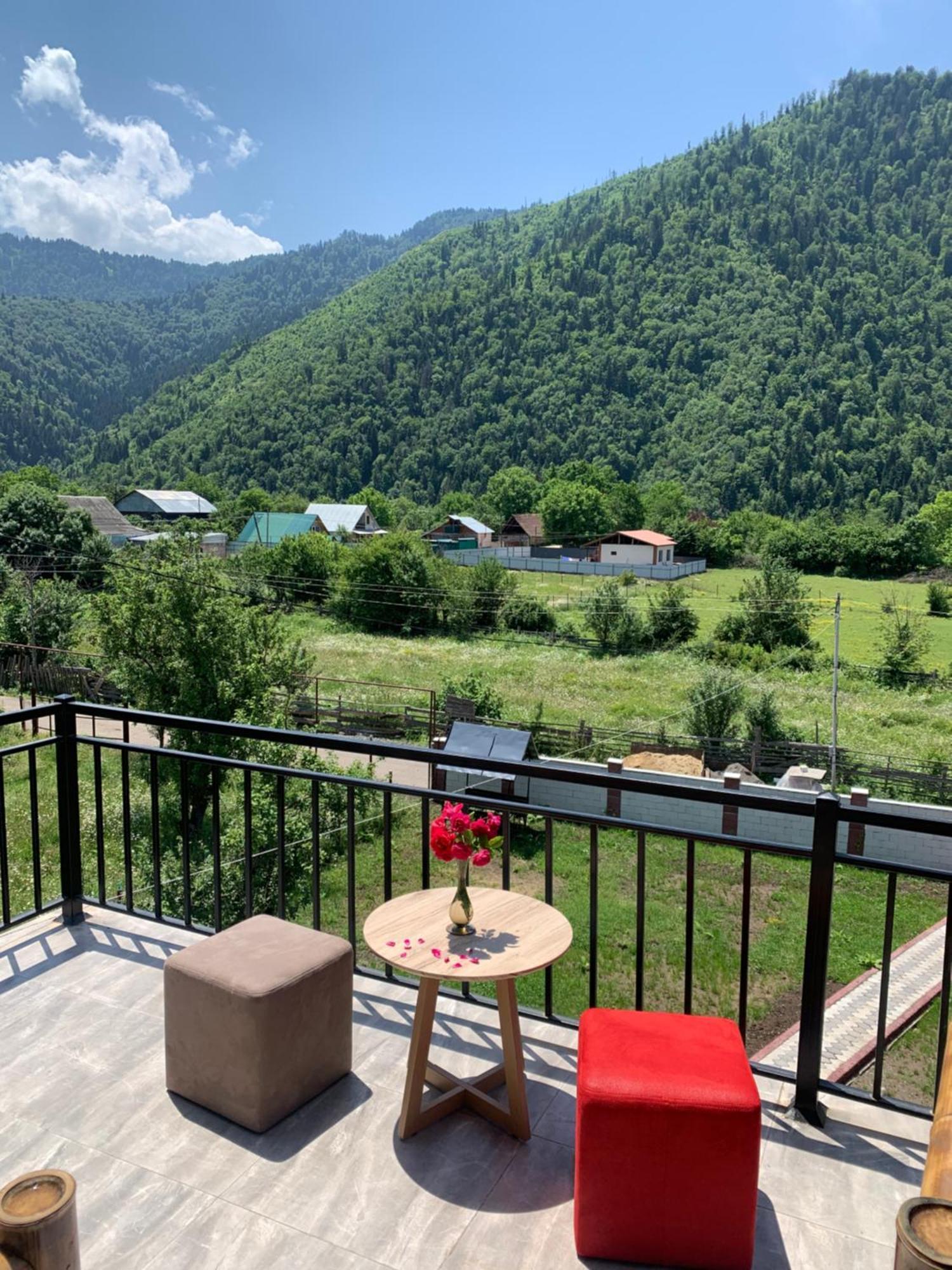 Green Mountain Borjomi Phòng bức ảnh